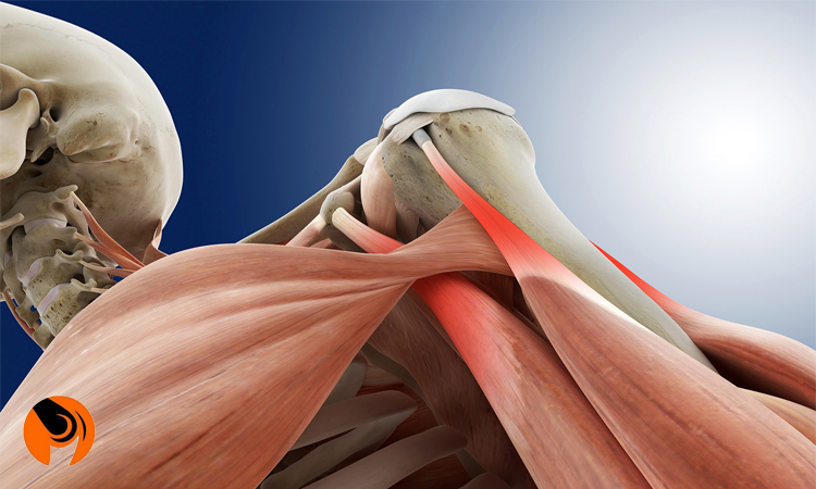 چه عواملی می تواند باعث درد زانو بدون آسیب شود؟